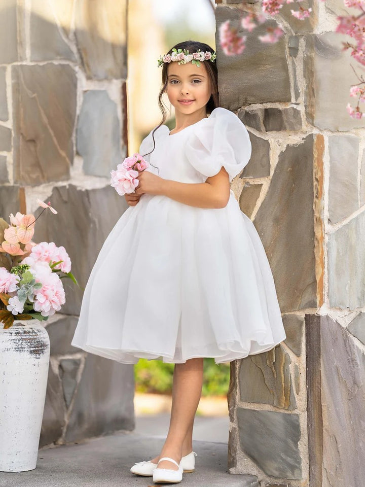 TinyTulle Light Blue Organza Puff Sleeve Flower Girl Dress with Bow Back