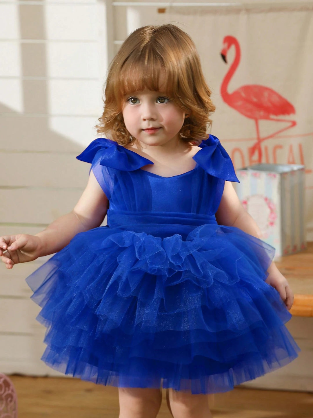 TinyTulle Baby Girls Elegant Black Tulle Dress with Bow for Birthday Party Dress
