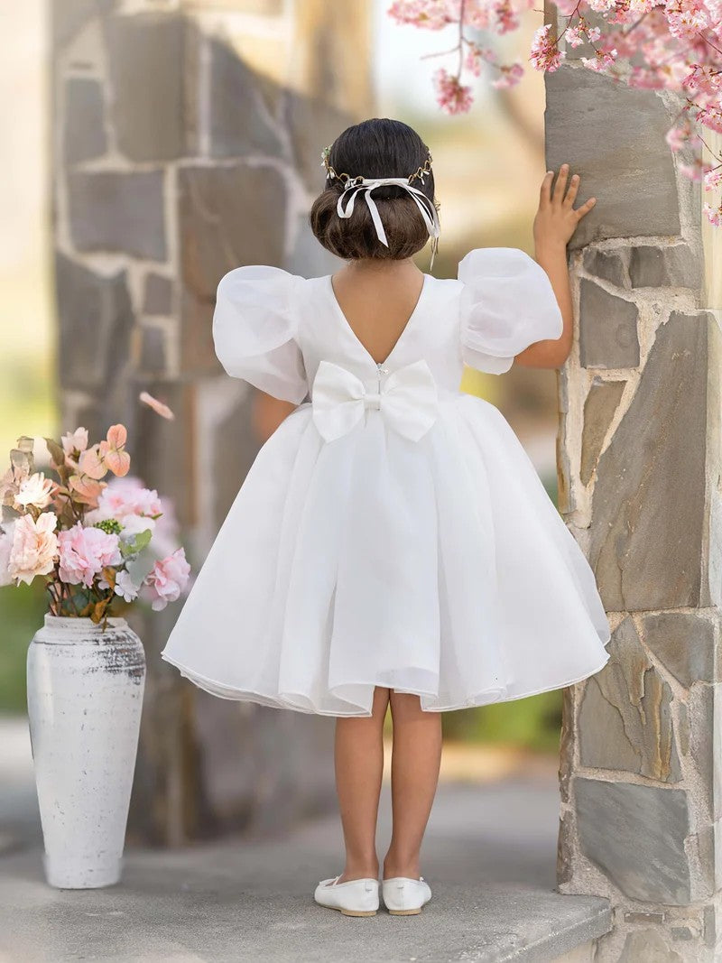 TinyTulle Light Blue Organza Puff Sleeve Flower Girl Dress with Bow Back