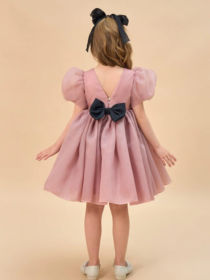 TinyTulle Light Blue Organza Puff Sleeve Flower Girl Dress with Bow Back