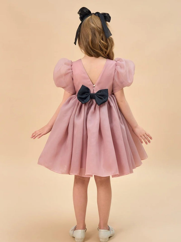 TinyTulle Light Blue Organza Puff Sleeve Flower Girl Dress with Bow Back