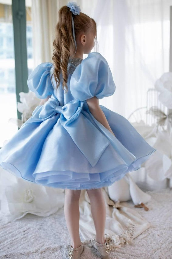 TinyTulle Blue Puff Sleeve Tulle Flower Girl Dress Tutu Party Gown for Birthday &amp; Wedding