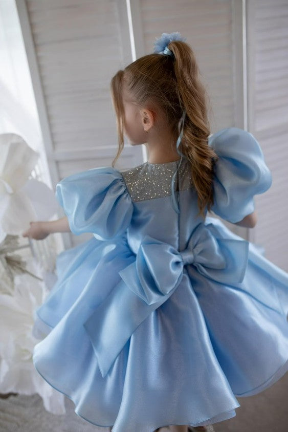 TinyTulle Blue Puff Sleeve Tulle Flower Girl Dress Tutu Party Gown for Birthday &amp; Wedding