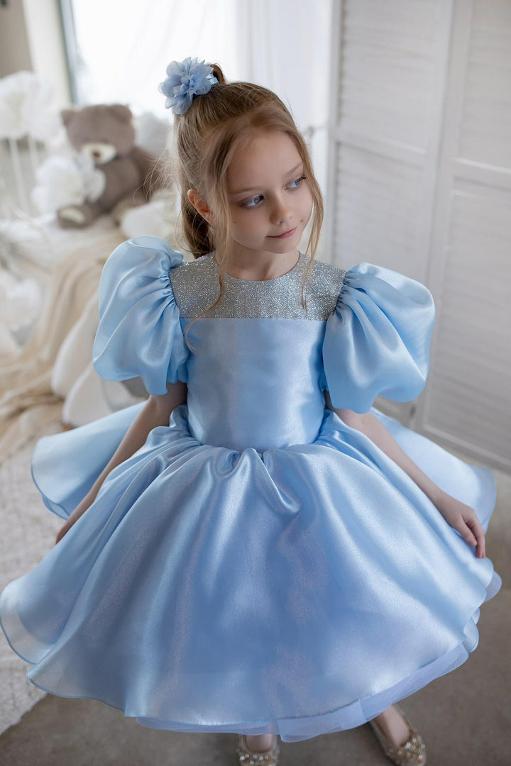 TinyTulle Blue Puff Sleeve Tulle Flower Girl Dress Tutu Party Gown for Birthday &amp; Wedding